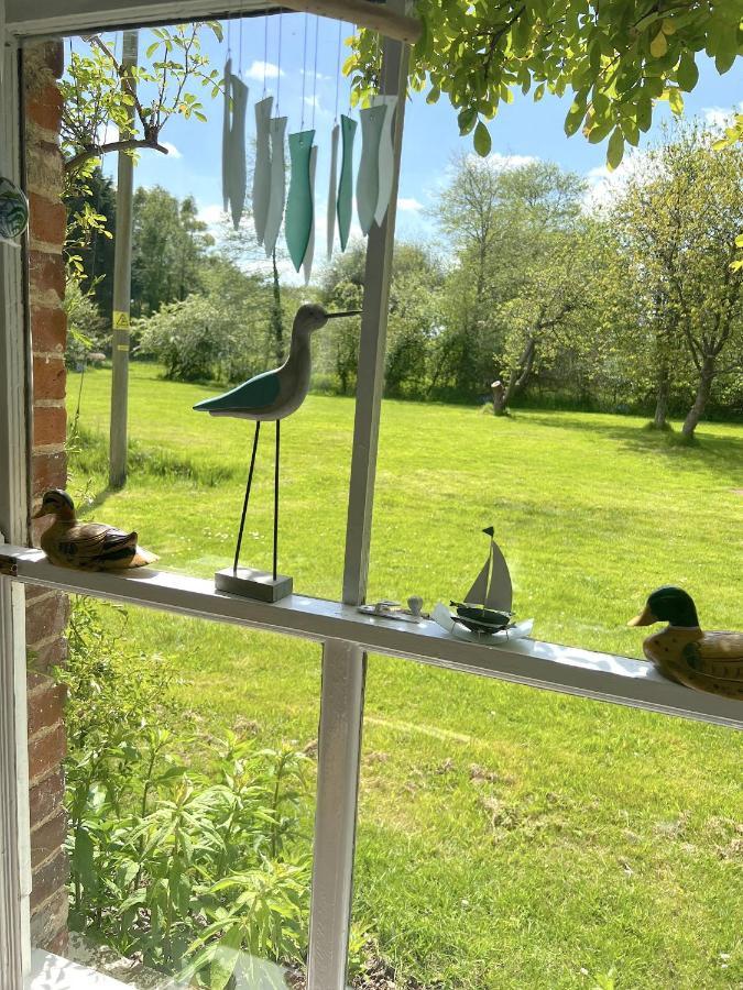 Adorable Two Bed Norfolk Broads Holiday Home - River Views With Moorings & Fishing Сталхэм Экстерьер фото
