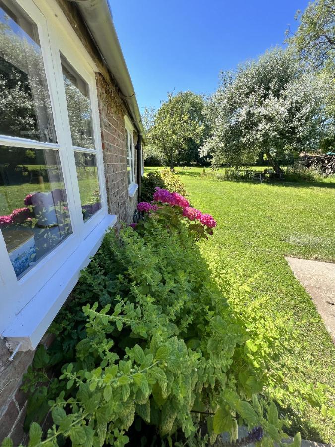 Adorable Two Bed Norfolk Broads Holiday Home - River Views With Moorings & Fishing Сталхэм Экстерьер фото